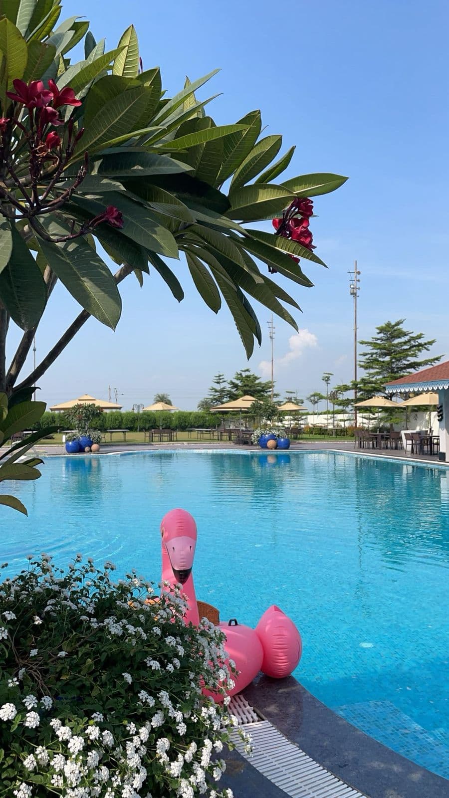 Visual for Project 3.